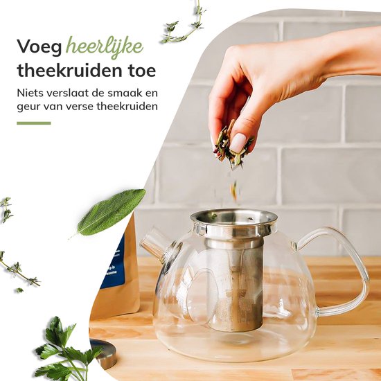 Borosilicaat Glazen Theepot met Filter - 1.5L